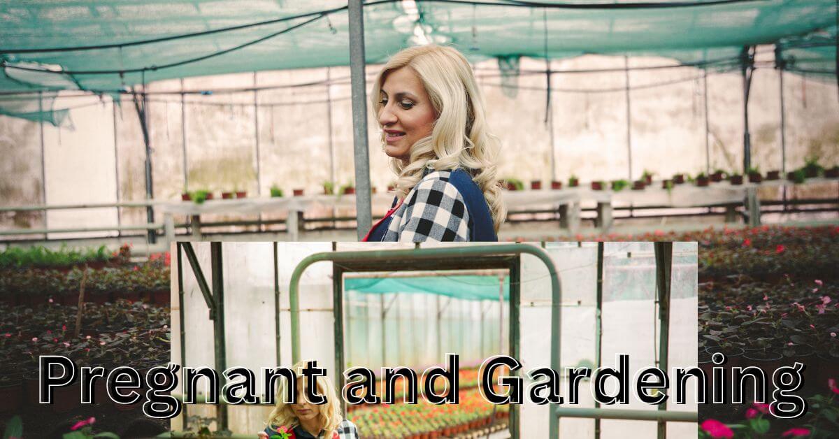 pregnant and gardening
