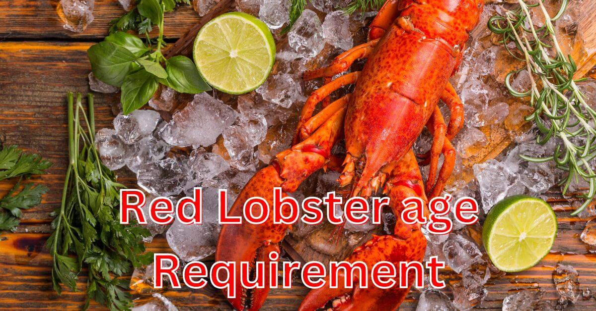 red lobster age requirement